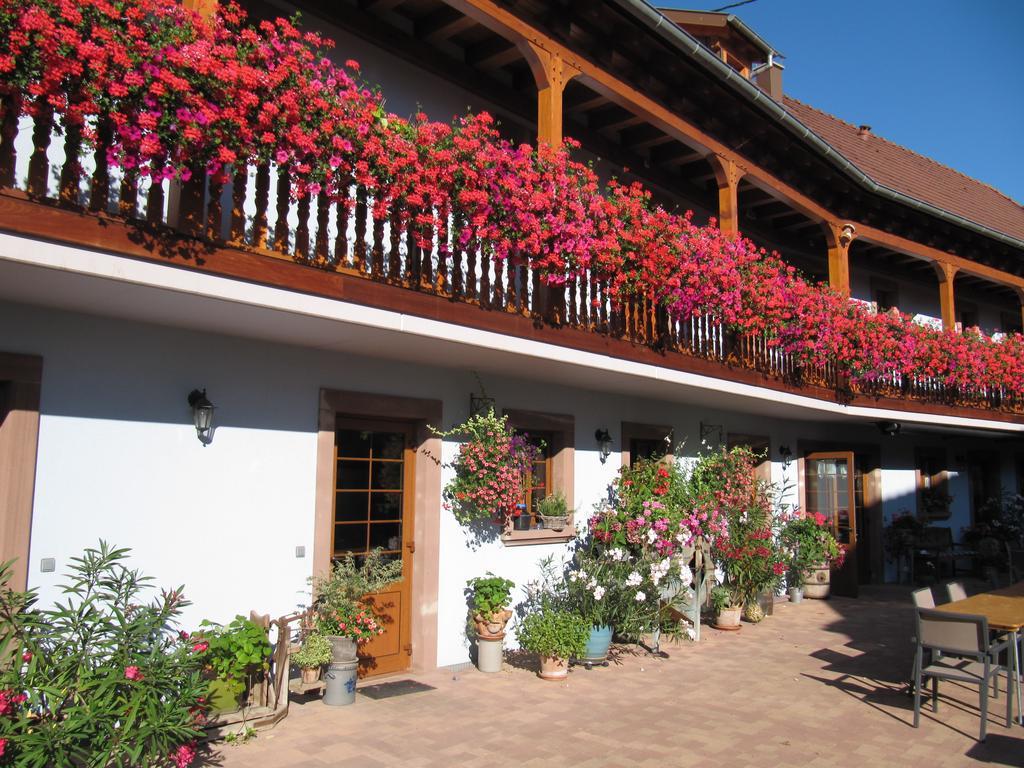 La Ferme De Louise Bed and Breakfast Hohengoeft Buitenkant foto