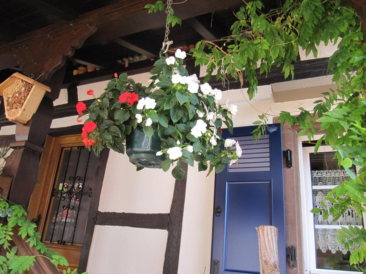 La Ferme De Louise Bed and Breakfast Hohengoeft Buitenkant foto